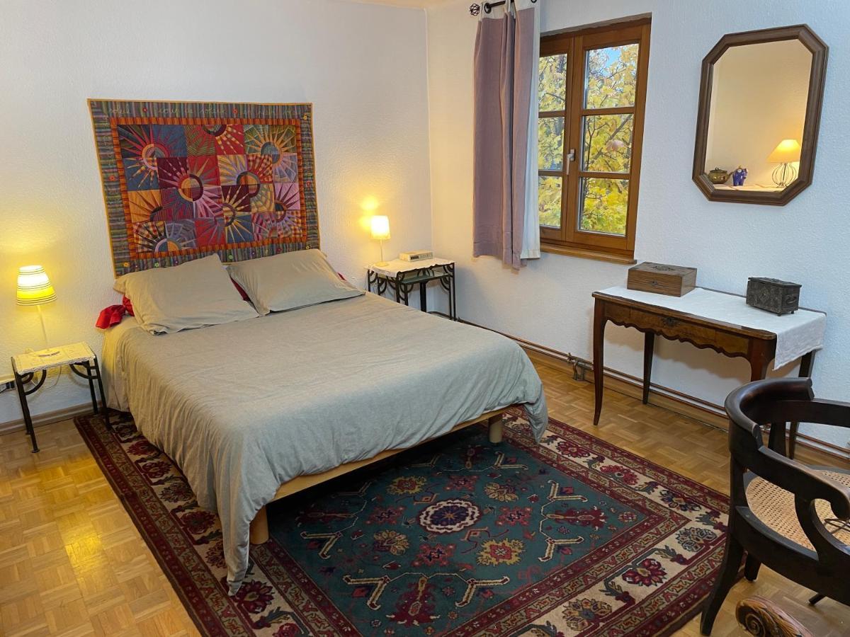 Apartmán Chez Rosa Haguenau Exteriér fotografie